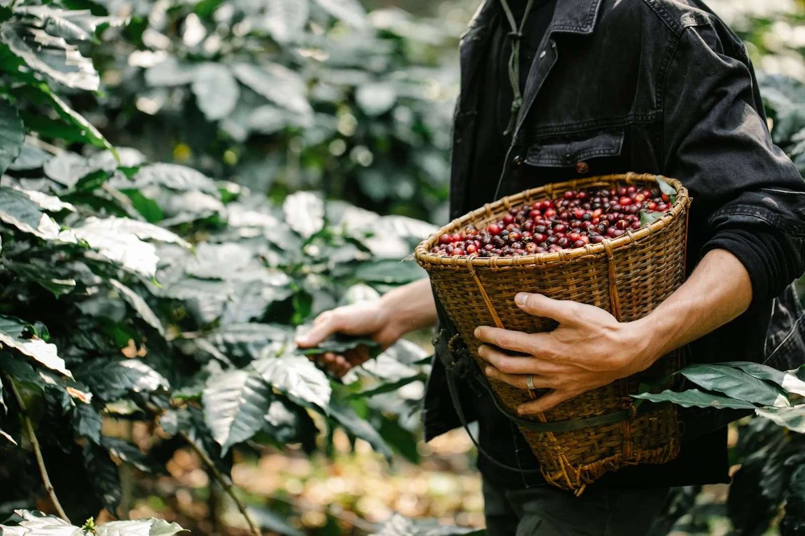 Nông dân Nguyễn Văn Tý