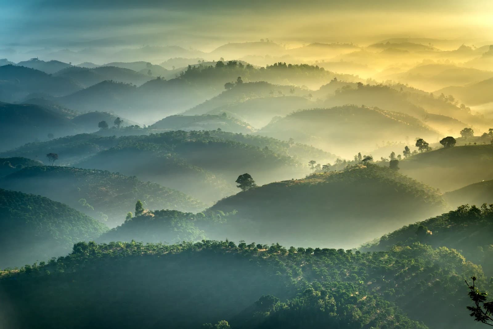 Sustainability Background